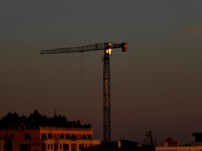 P1120962