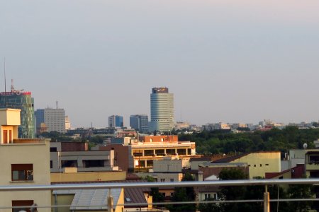 IMG_9596