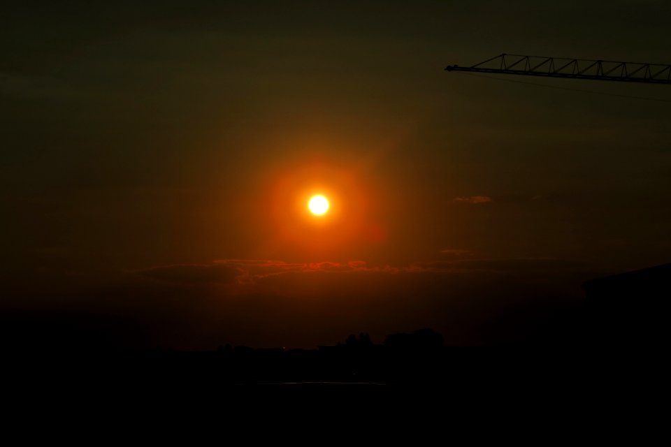 IMG_9318