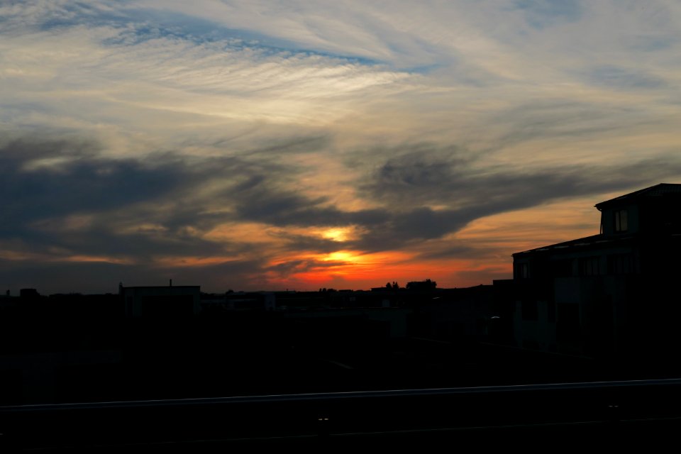 IMG_5500