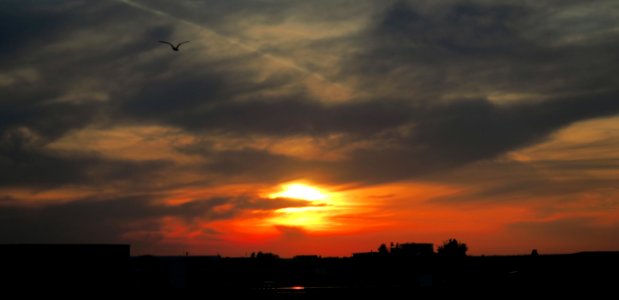 IMG_5526