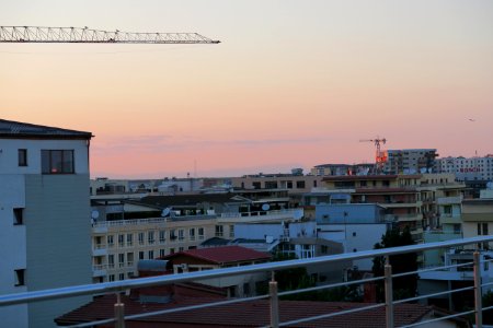 IMG_4508