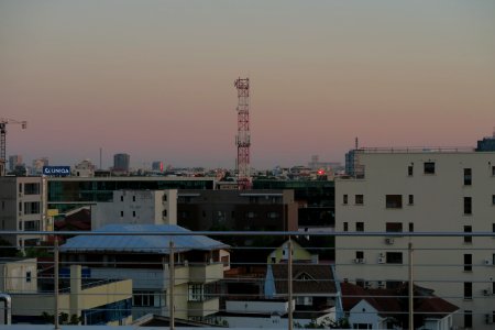IMG_4519