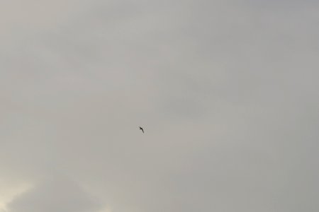 IMG_4018