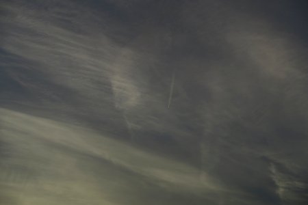IMG_3992