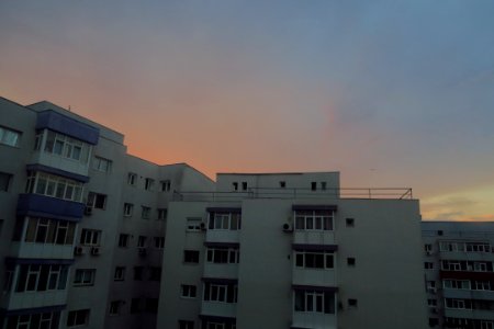 IMG_2346