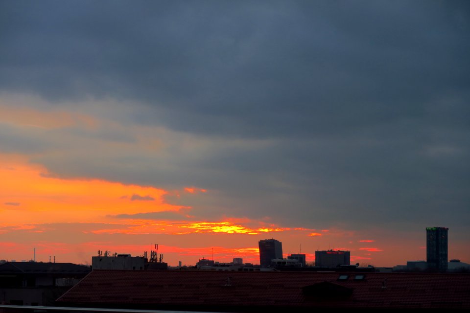 discutii2016_1110_174813
