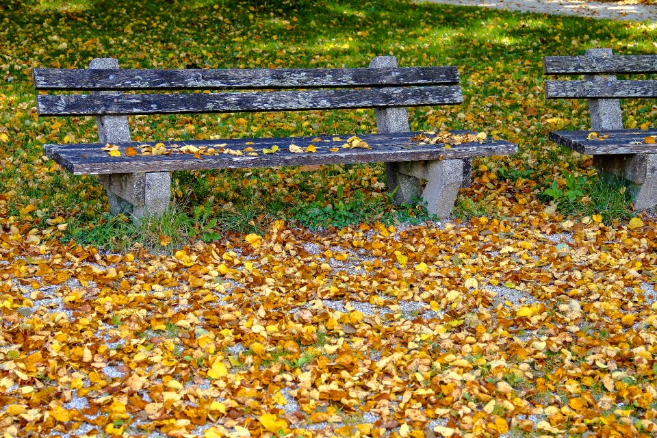 Rest resting place nature photo