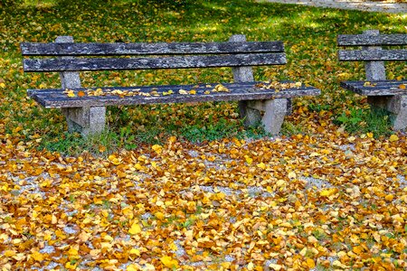 Rest resting place nature photo