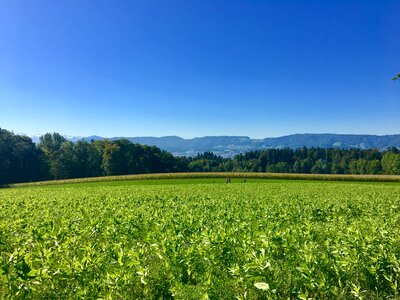 Zurich alpine mountains