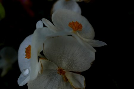 P2030725