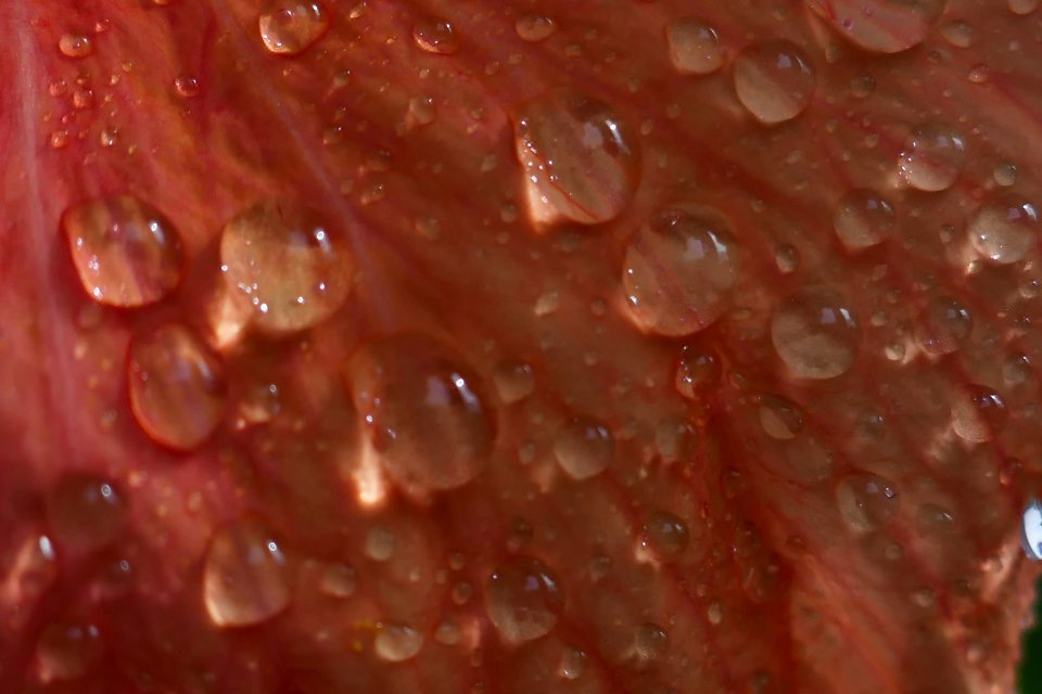 P2030649