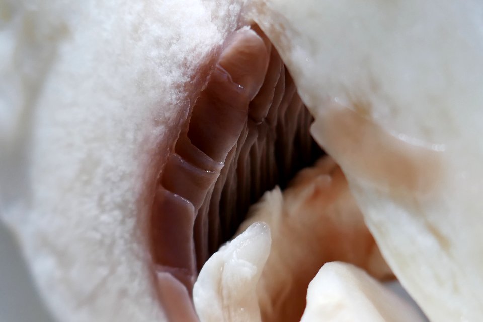 P2030547