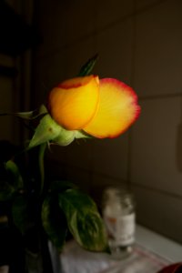 P2030549