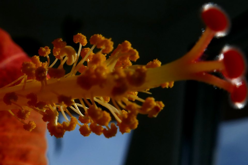 P2030451
