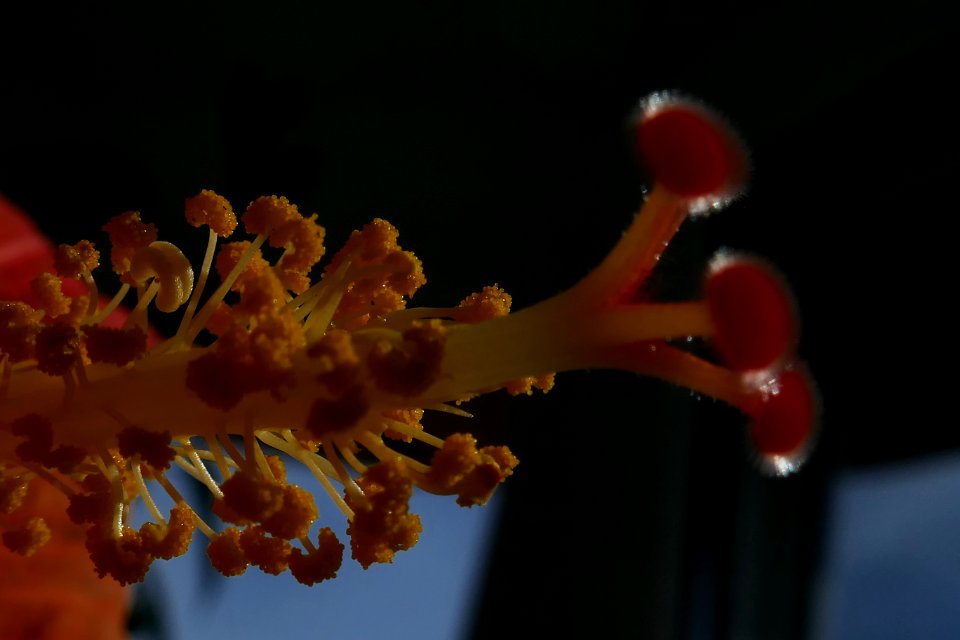 P2030445