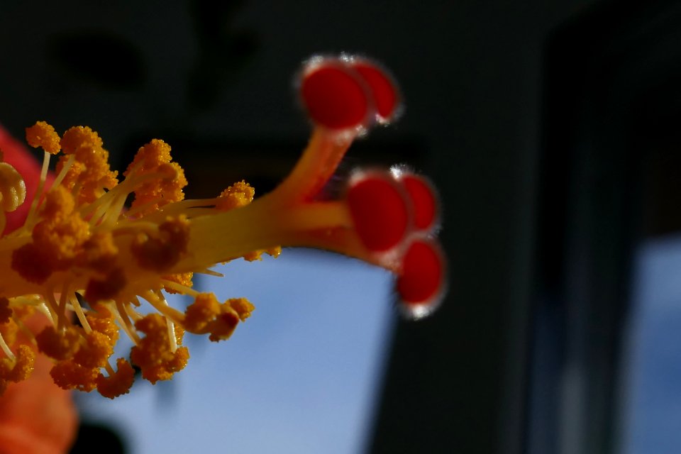 P2030438