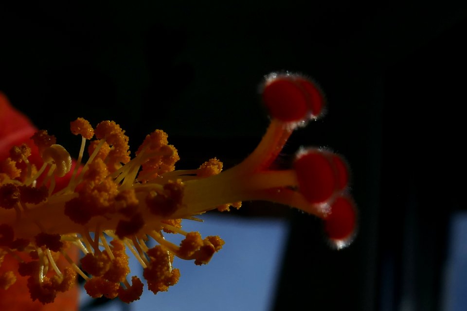 P2030440