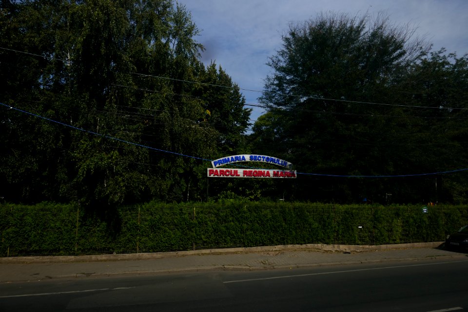 P2030233