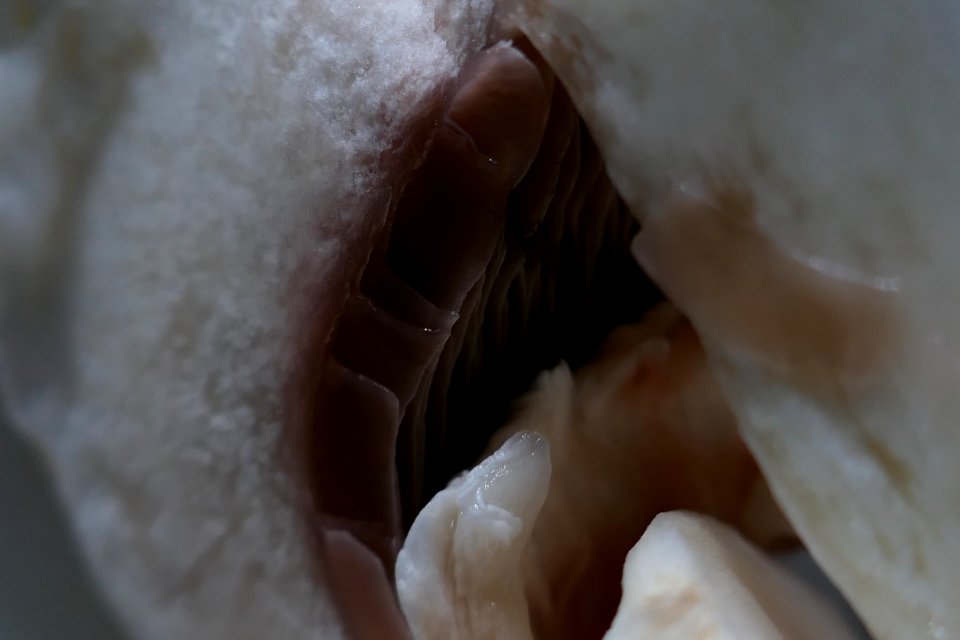 P2030545