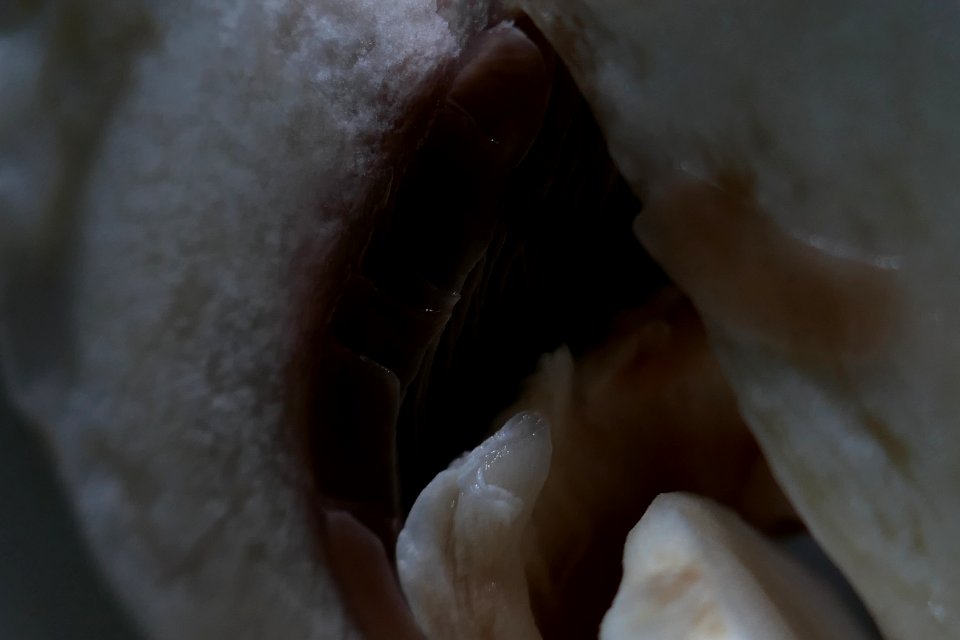 P2030544