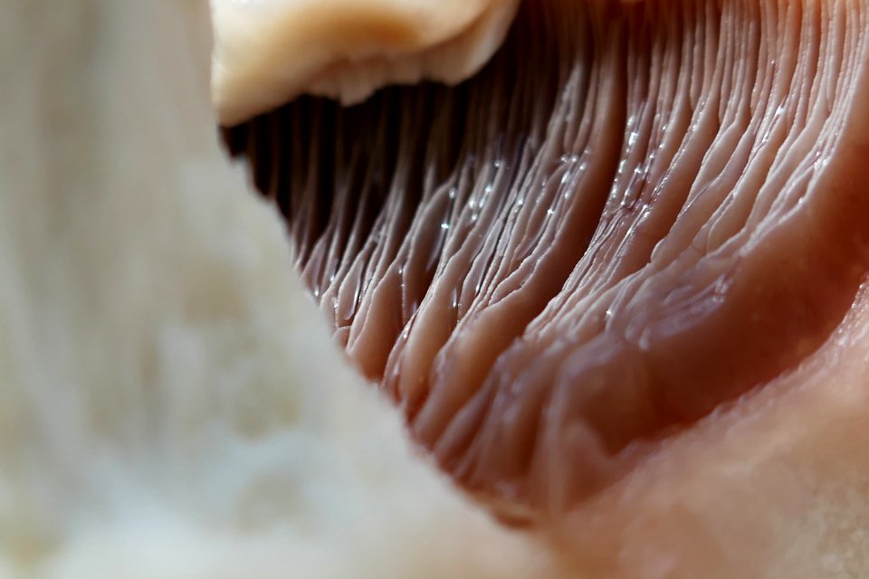 P2030536
