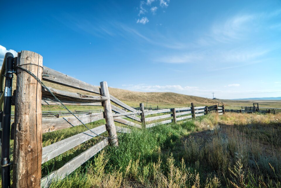 Grass landscape field photo