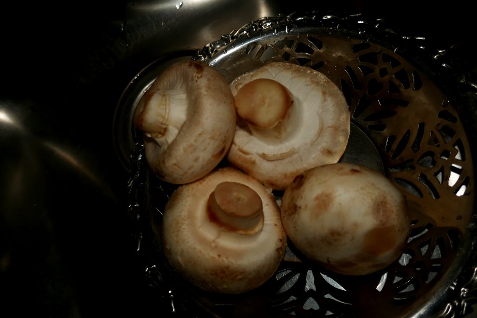 P2030496