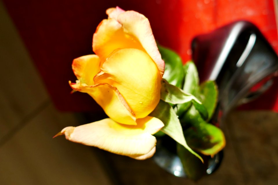 P2030116