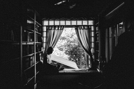 Book window curtains photo