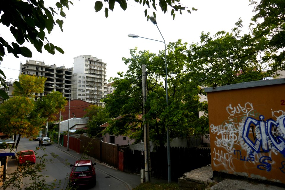 P2030066