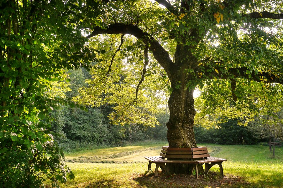 Resting place rest area bank idyll