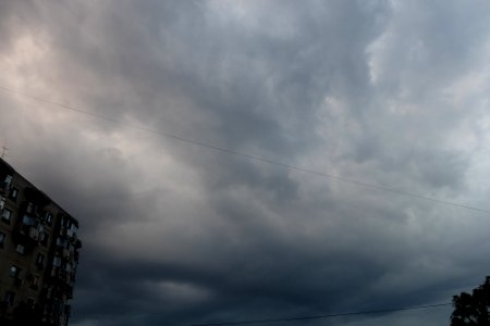 nori-Branduselor2015_0626_200517