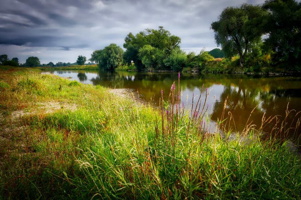 Water nature river landscape