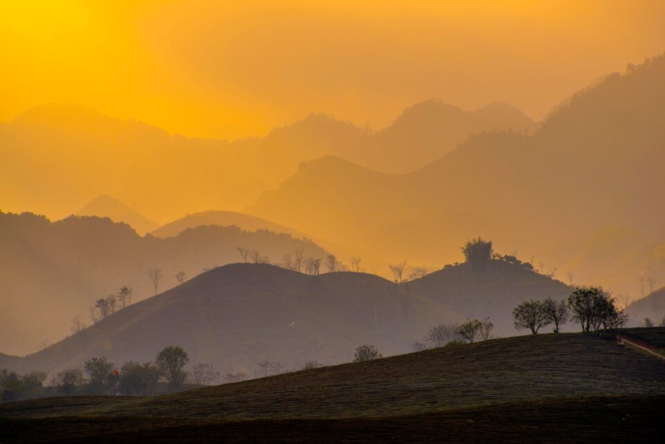 Gradient brown yellow photo