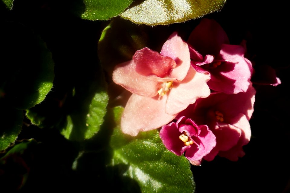 P1890024