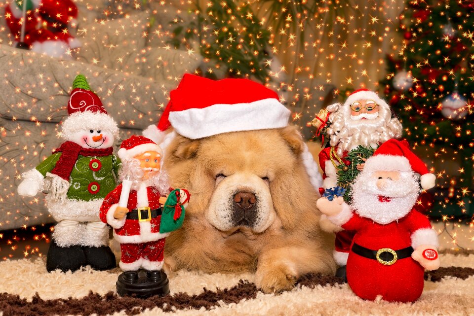 Season gift brown gift