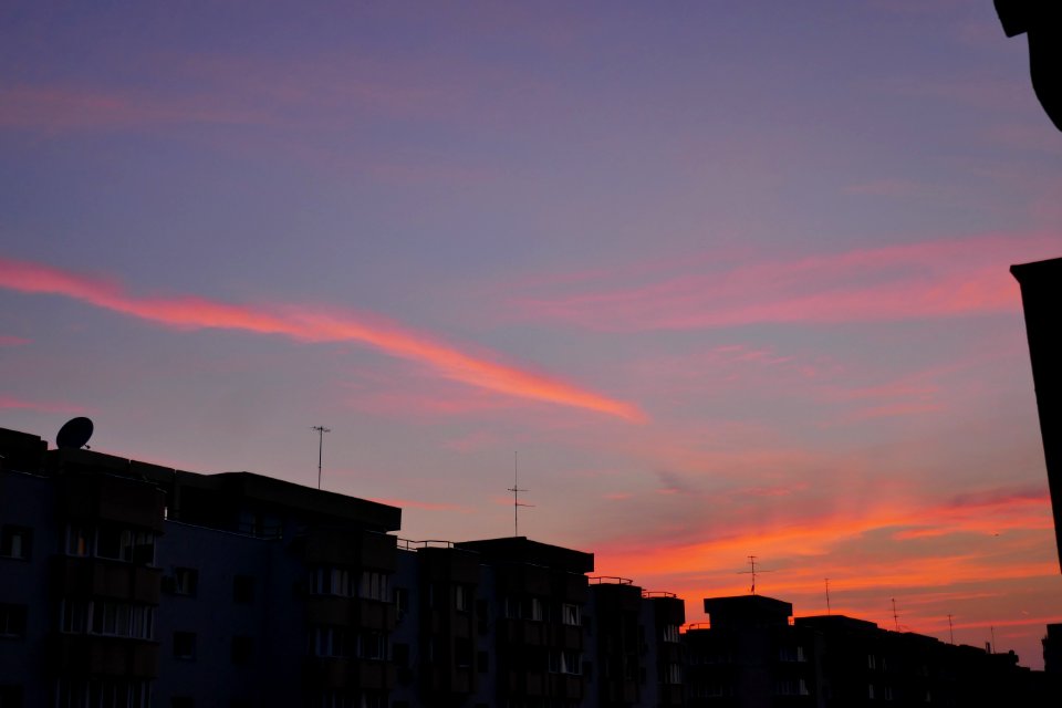 P1880067