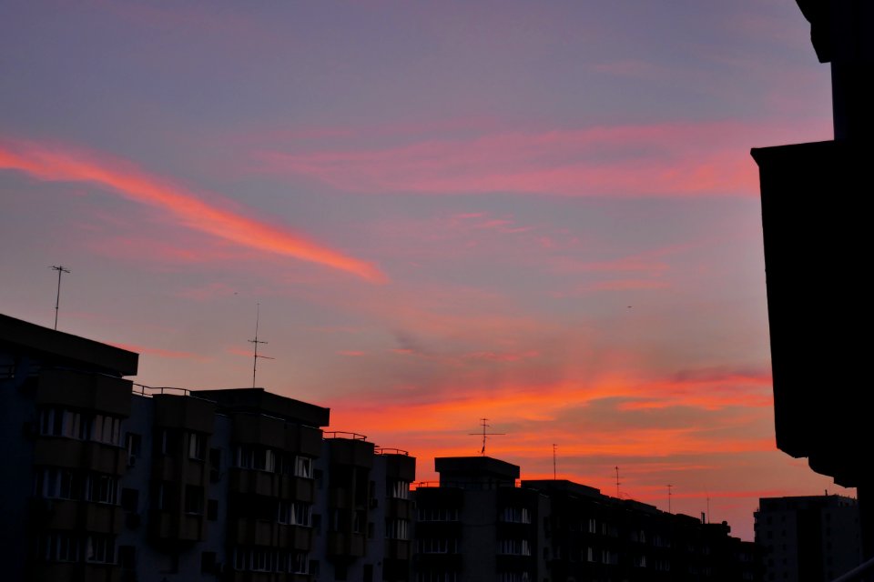 P1880062