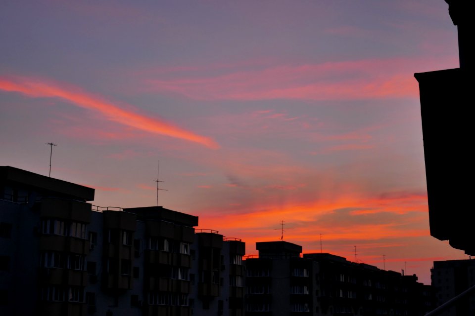 P1880052