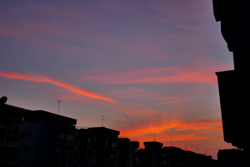 P1880016