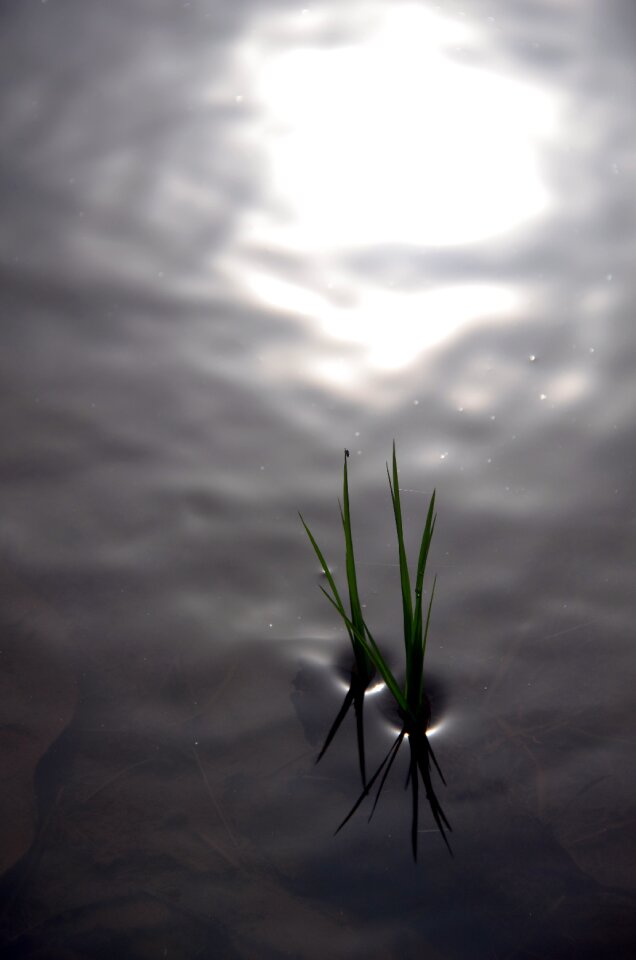 Water light reflections light