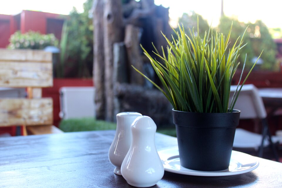 Table dining out plant