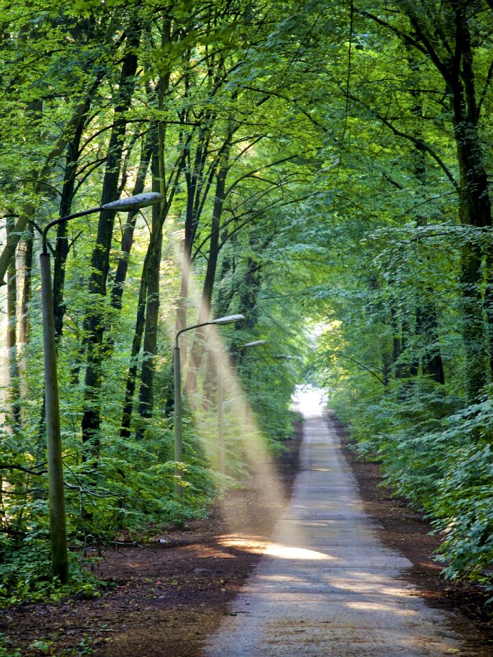 Green close nature
