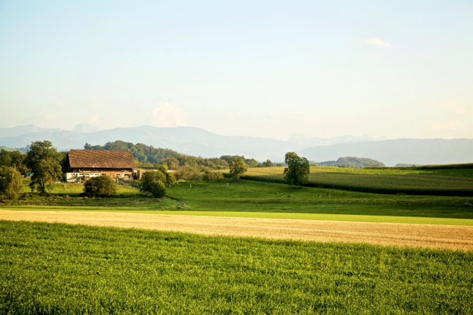Panorama autumn afternoon