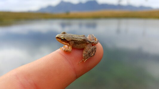 Mountain lake finger photo