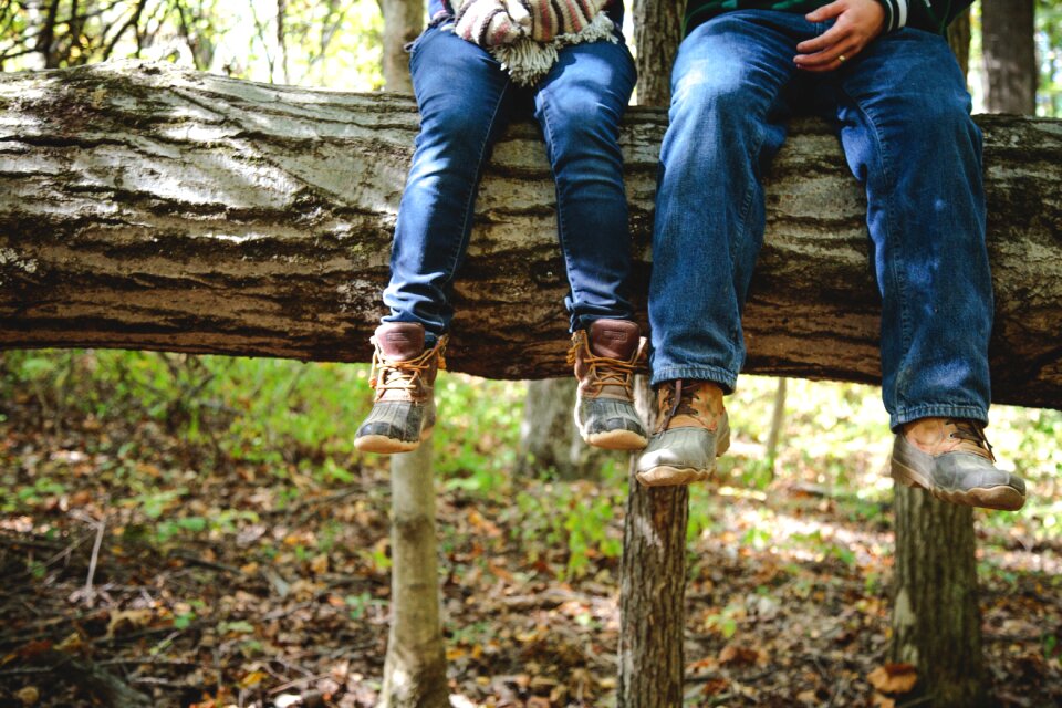 Log nature people