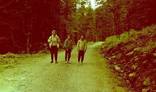 Retezat_pe-drum-forestier (3)