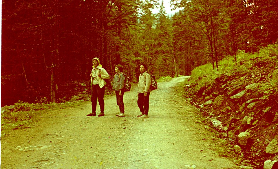 Retezat_pe-drum-forestier (2)