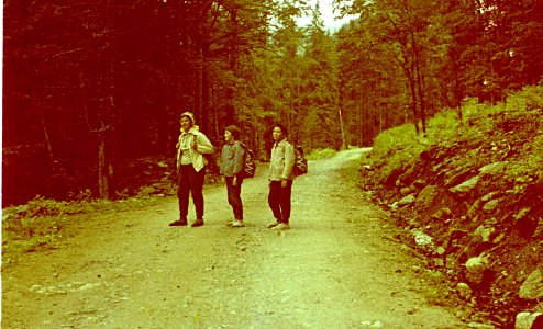 Retezat_pe-drum-forestier (2)